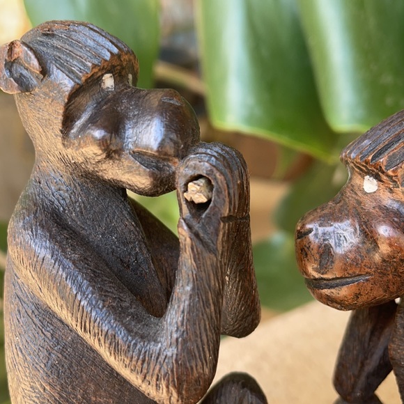 2 Monkeys - Picture 5 of 7